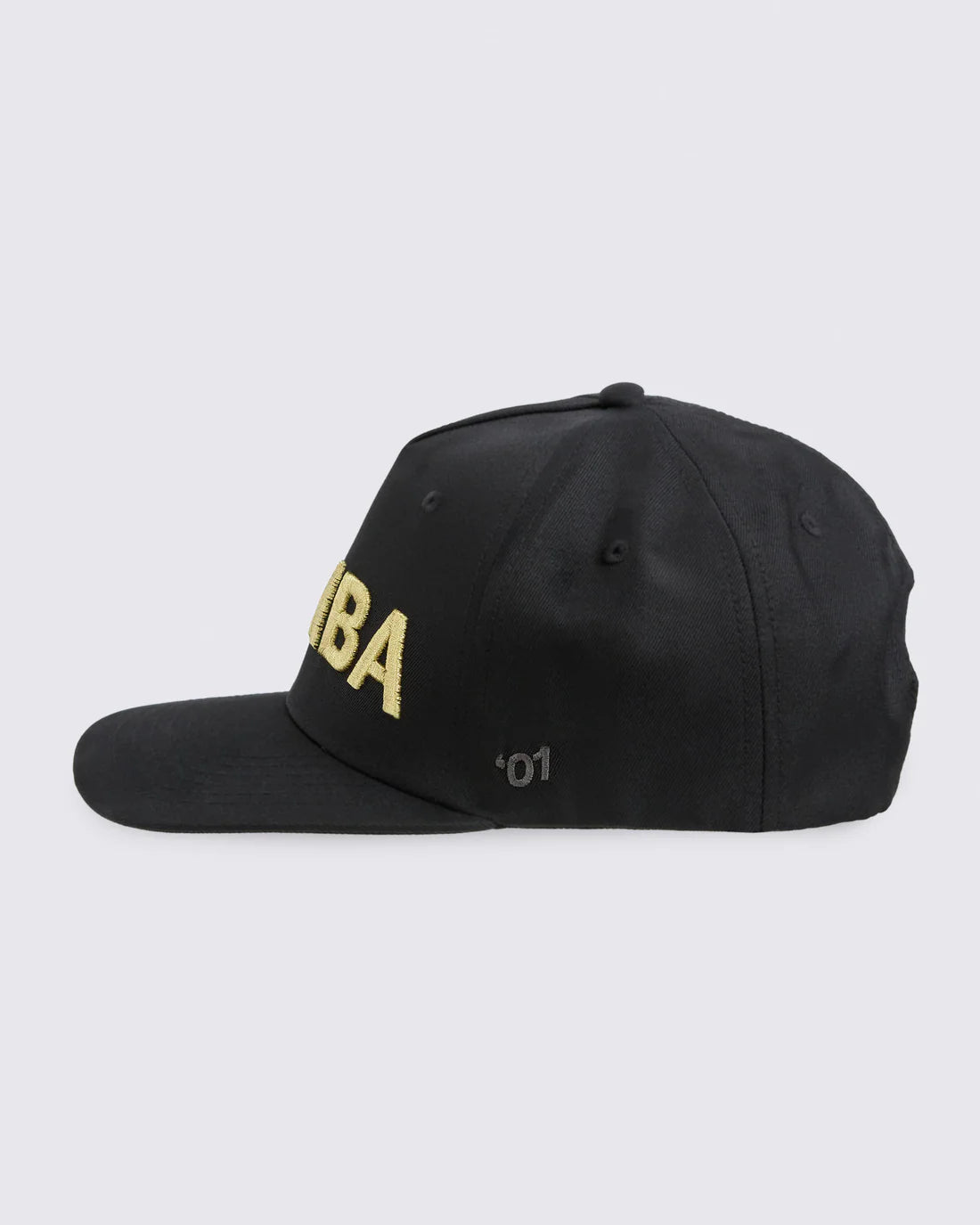 Zumba Core Snapback Hat