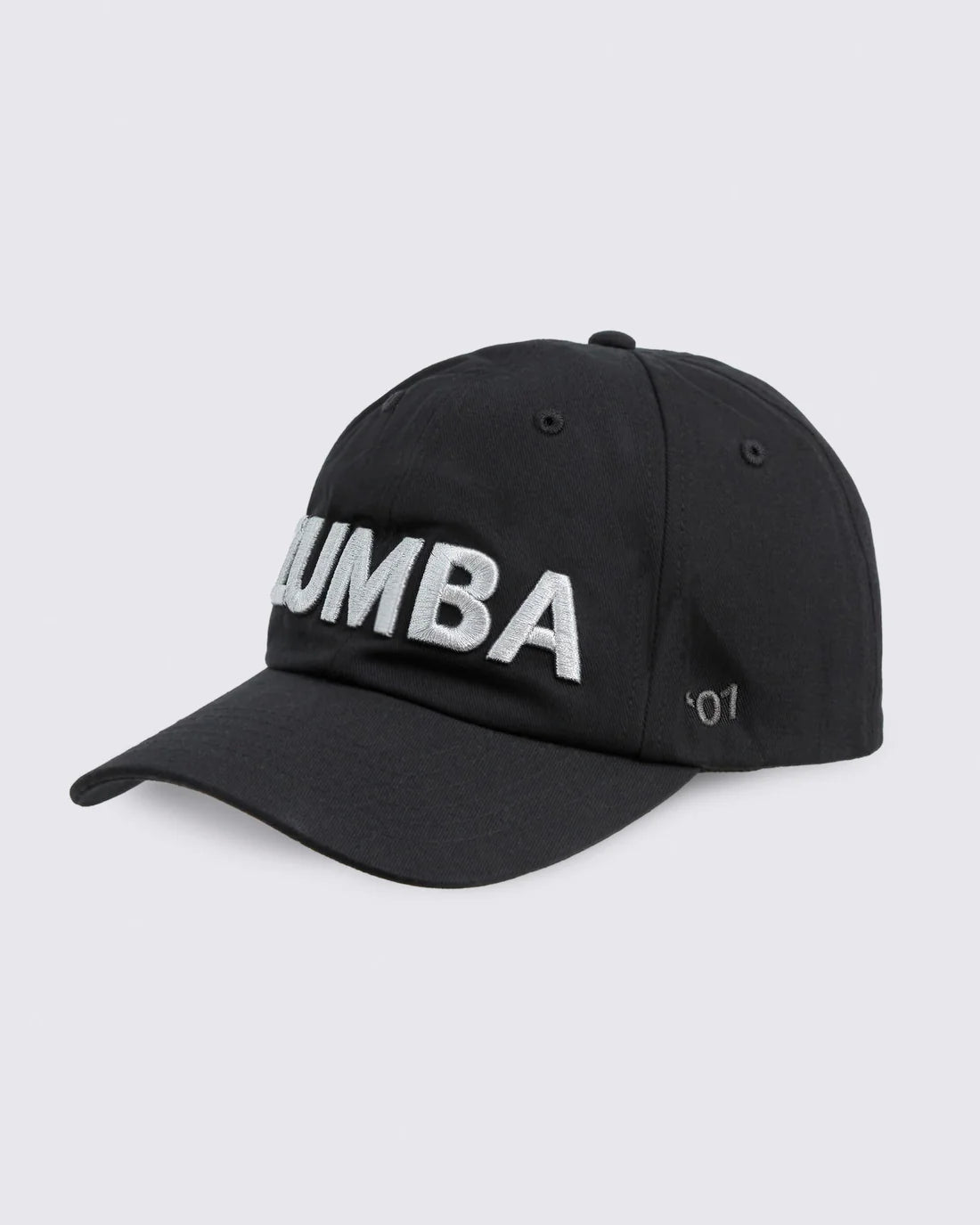 Zumba Core Dad Hat