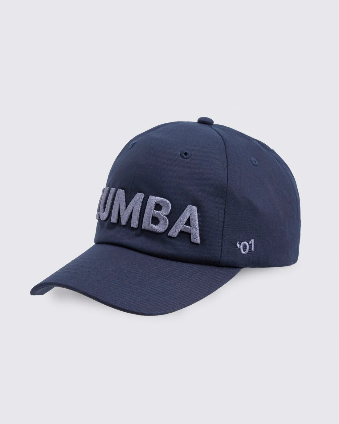 Zumba Core Dad Hat