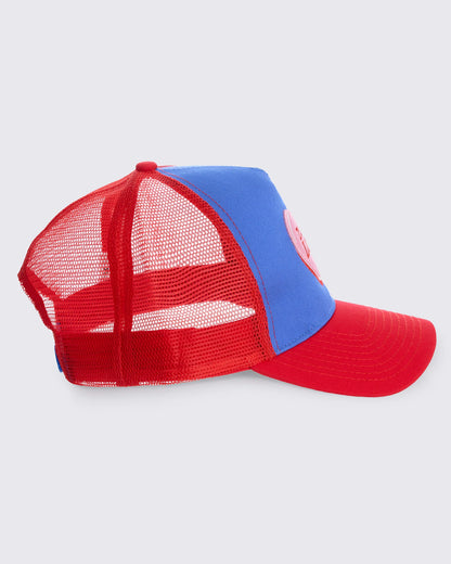 Zumba Love Curved Brim Mesh Cap