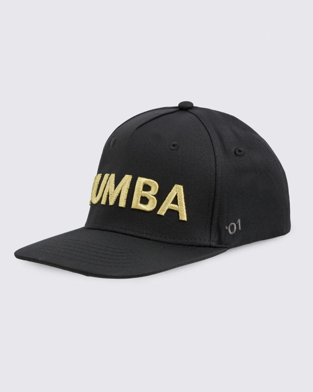 Zumba Core Snapback Hat